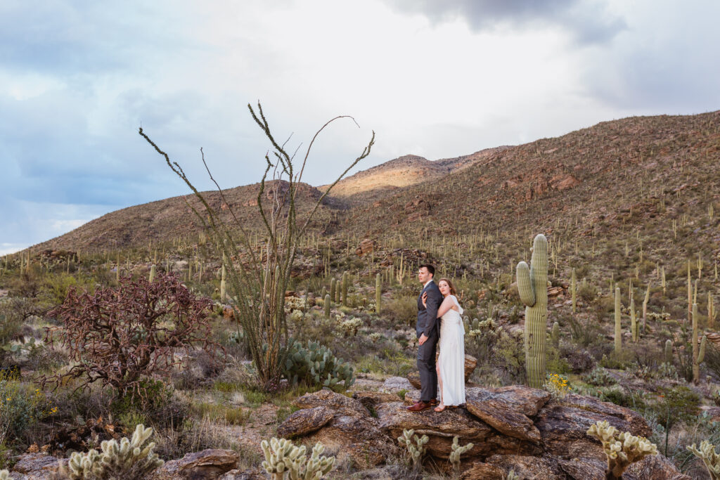 Bride and groom posing for Tucson wedding photography with mountains and cacti behind them