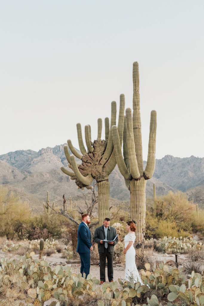 BRIDE AND GROOM STANDING UNDER CRESTED SAGUARO DURING CEREMONY DURING ELOPEMENT AT SABINO CANYON IN TUCSON ARIZONA