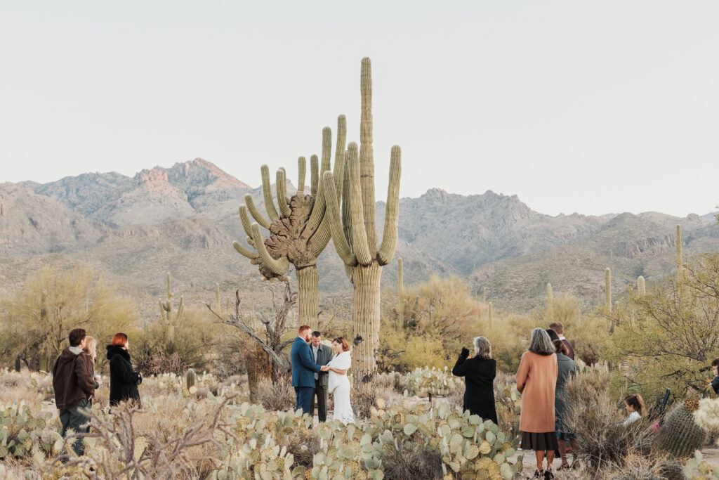 Sabino Canyon elopement ceremony at sunrise Tucson Arizona desert