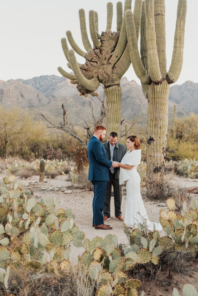Romantic sunrise ceremony in Sabino Canyon desert landscape Arizona