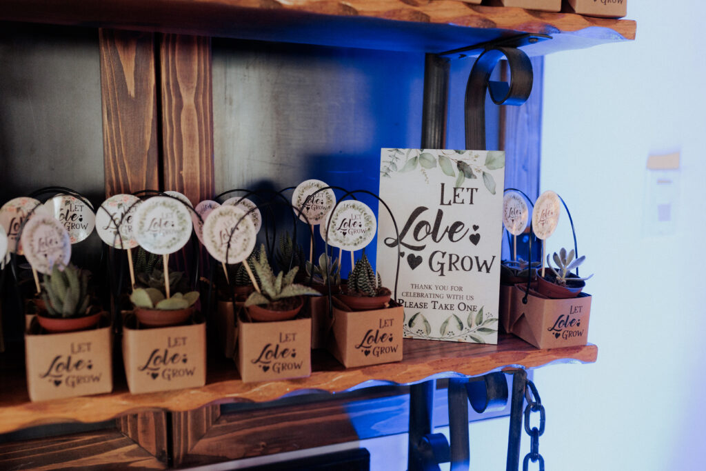 wedding cactus gifts at wedding in willcox arizona
