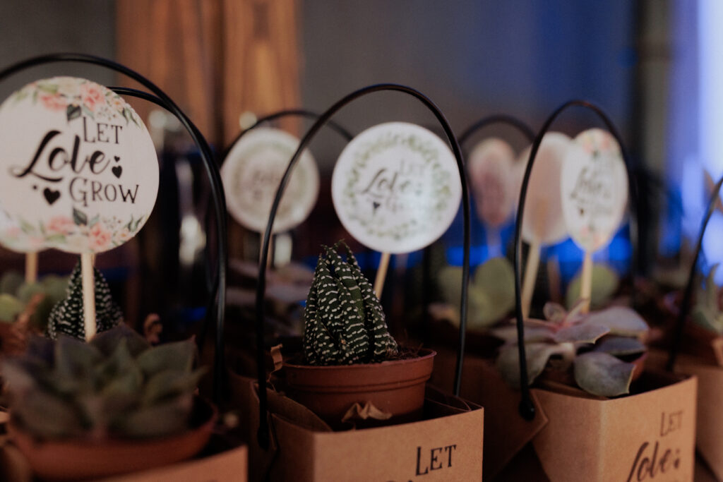 cactus wedding gifts 
