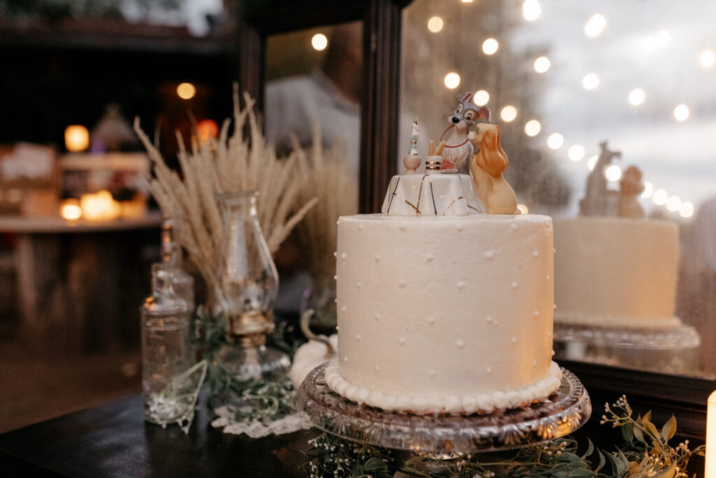 lady and the tramp cake at agua linda farm wedding venue in amado arizona.