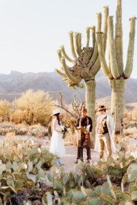 micro wedding in tucson surrounded by saguaro and prickly pear cactus