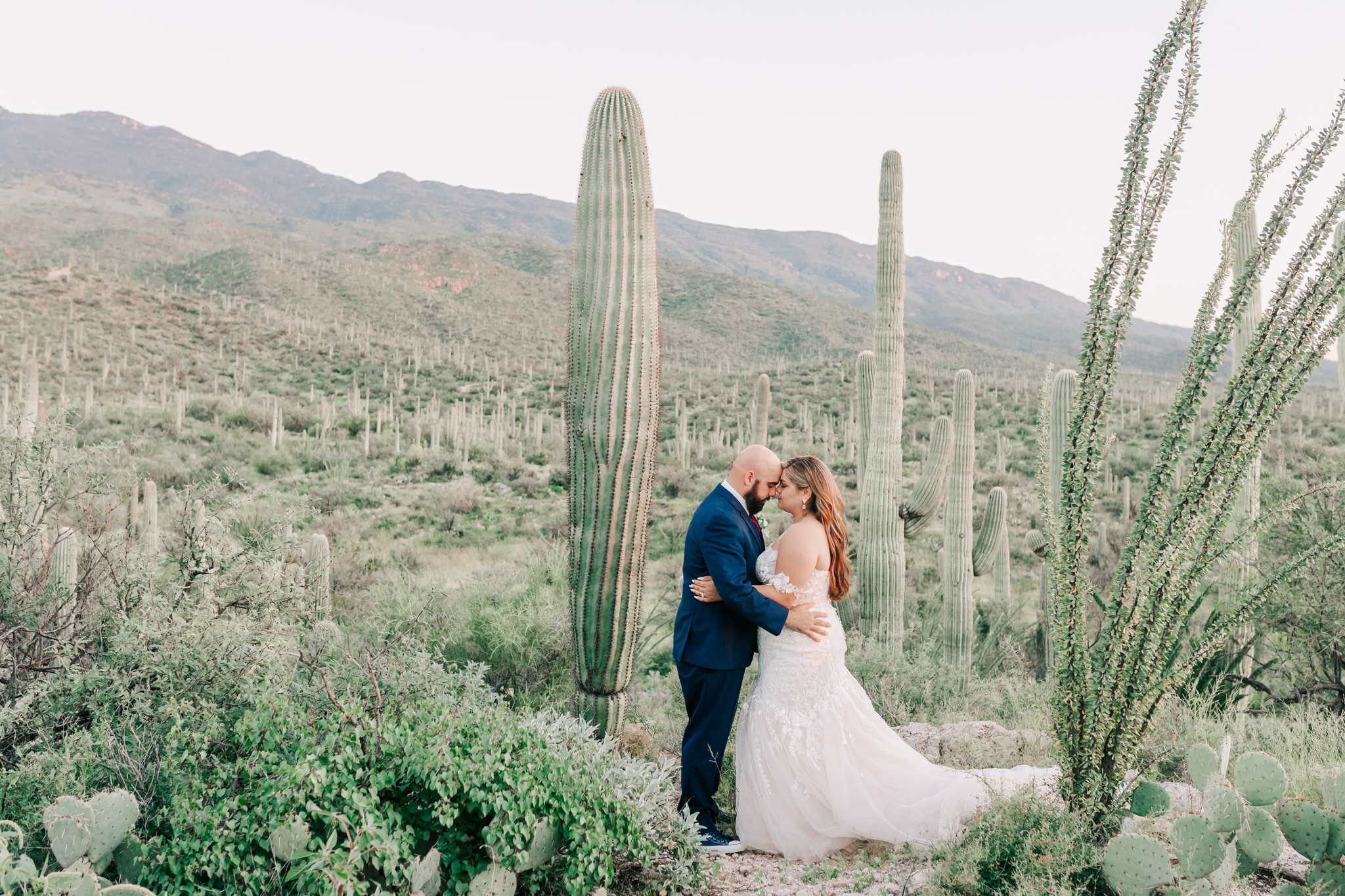 Bride and groom sharing a quiet moment among tall saguaros in the desert