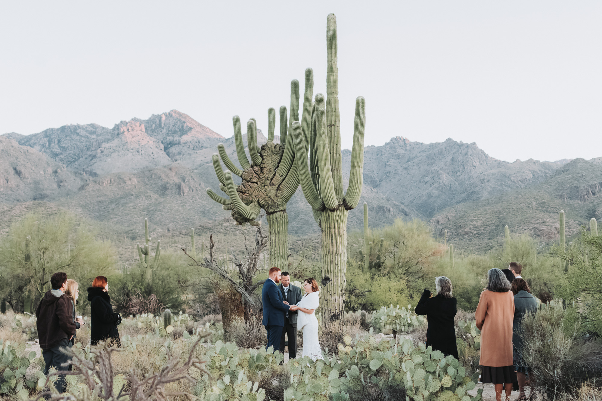 ELOPEMENT CEREMONY WITH SAGUAROS AND FAMILY STANDING NEARBY